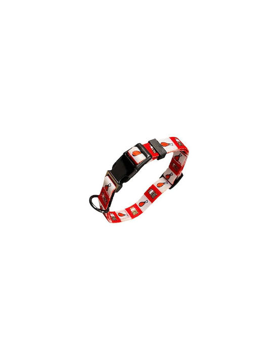 Περιλαίμιο Dog Collar in Red color Medium