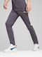 Evostripe Pants Παντελόνι Φόρμας με Λάστιχο Γκρι - Μωβ