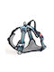 Animal Dog Harness Gray Large