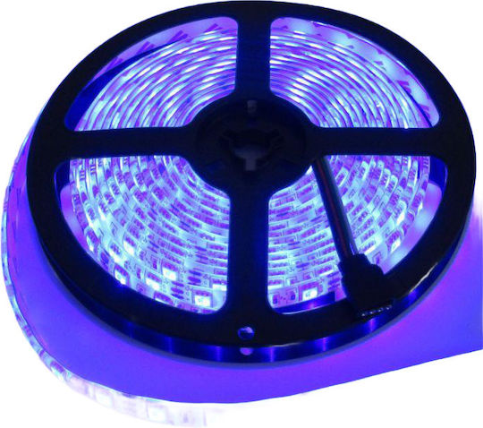 Eco Light Bandă LED 12V Albastru Lumină 5m Tip SMD2835