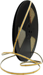 Eco Light LED-Streifen 24V 5m