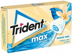 Trident Chewing gum 16pcs 22gr