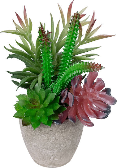 Globostar Grădină Artificială Suculentă Diverse Plante Înghesuite 21039 Mix de Plante Decorative Înghesuite M17 X H20cm