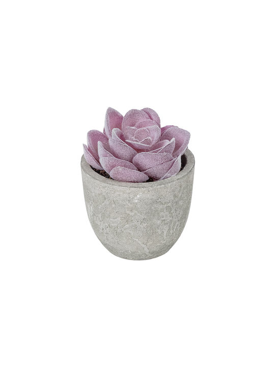 Globostar Artificial Garden Succulent Sedeveria...