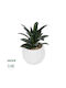 Globostar Artificial Garden Succulent Aloe Potted Plant 20983 Διακοσμητικό Φυτό Αλόης Φ9 X Υ12cm