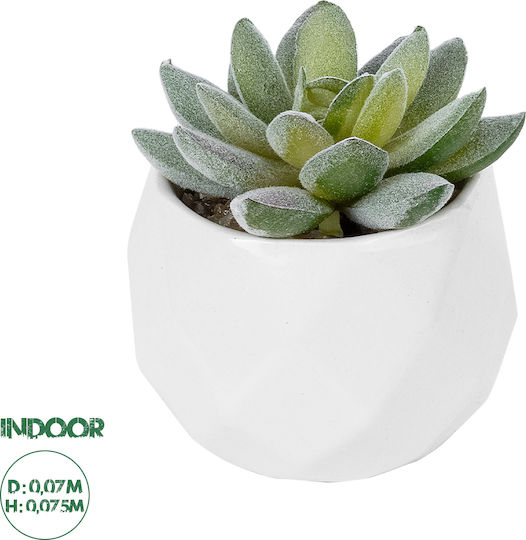 Globostar Artificial Garden Succulent Sedeveria Potted Plant 20987 Decorative Plant Sedeveria Φ7 X H7.5cm