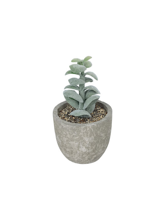 Globostar Artificial Garden Succulent Sedeveria Potted Plant 21027 Διακοσμητικό Φυτό Σεδεβέρια Φ5 X Υ11cm