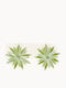 Sequoia Women's Stainless Steel Hypoallergenic Earring Stones Green