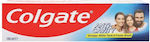 Colgate Anti-cavity Toothpaste 100ml