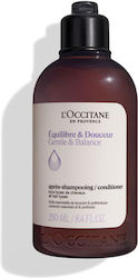 L'Occitane Sanft & Balance Haarspülungen 250ml L'Occitane Sanft & Balance Haarspülungen 250ml