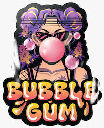 Mylar Zip Bag Bubble Gum Security Pouch