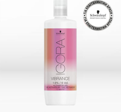 Activator Color Activator 6Vol 1000ml