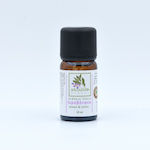 Holy Basil Essential Oil Edible 10ml