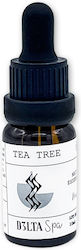 Essential Oil Tea Tree 10ml