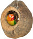 Kokosnuss Nest Spielzeug 25x12cm