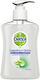 Dettol Aloe Vera and Vitamin E Liquid Soap Soft on Skin Hard on Dirt 250ml