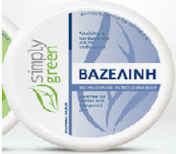 Real Care Βαζελίνη για Επούλωση 100ml