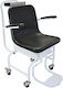 Commercial Disability Wheelchair Scales