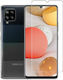 0.3mm Tempered Glass (Galaxy A42)