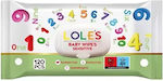 Lole's Baby Wipes 120pcs