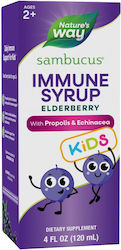 Nature's Way Sambucus Immune Syrup Kids 120мл Nature's Way Sambucus Immune Syrup Kids 120мл