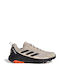 adidas Terrex Anylander Men's Hiking Shoes Beige