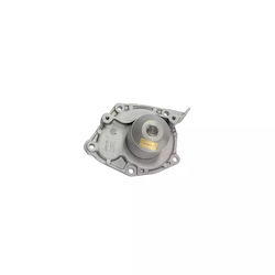 Pompa de apă Renault Vel Satis Bj0 Airtex 1668