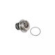 Wasserpumpe Opel Zafira A F75 Airtex 1446