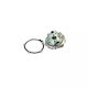 Water Pump Chevrolet Trans Sport Airtex 5033