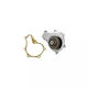 Water Pump Ford Transit Connect Kombi Airtex 1678