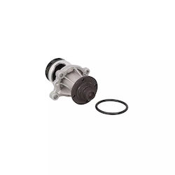 Water Pump Bmw 3 Compact E36 Airtex 1369 Water Pump Bmw 3 Compact E36 Airtex 1369