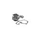 Wasserpumpe Ford Focus C-max Airtex 1619