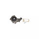 Water Pump Ford Escort Vii Cabriolet All Airtex 1435