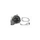 Water Pump Mazda 6 Hatchback Gg Airtex 1973