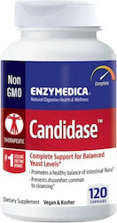 Enzymedica Candidase