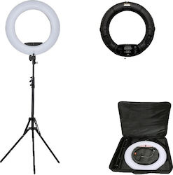 Ring Ring Light 45.72cm 6151006098035