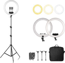 Ring Ring Light 45.72cm 6151112761724