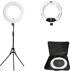 Ring Ring Light 45.72cm 6151006098059