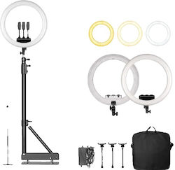 Ring Ring Light 6151116427473