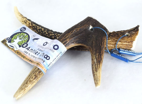 Antler Bloochoo Κέρατο Σκύλου Μικρόσωμων Φυλών από Ελάφι 50gr