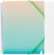 Carchivo Clipboard Flexible with 20 plastic sleeves Slides for Paper A4 Transparent 1pcs