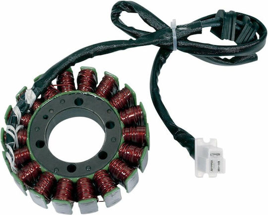 Ricks Motorsport Electric Βολάν Μοτοσυκλέτας 21-109
