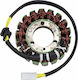Ricks Motorsport Electric Volan Motorrad 21-034