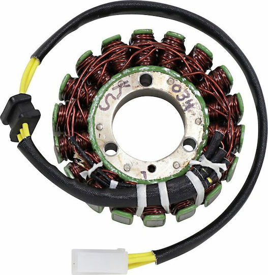 Ricks Motorsport Electric Volan Motorrad 21-034