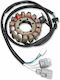 Ricks Motorsport Electric Volan Motorrad 21-725