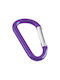 Polo Keychain Violet