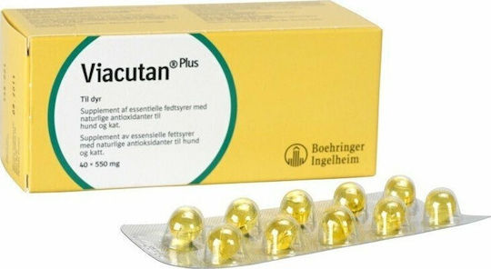 Boehringer Ingelheim Viacutan Plus pentru câini și pisici sub formă de sirop 40capace