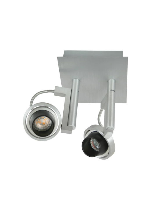 Gekas Ceiling Mount Light Silver