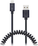 Connect IT USB-A zu Lightning Kabel Schwarz 1.2m (CI-682)
