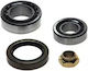 Set rulment roată Peugeot J5 Platformă șasiu 290l Fag 713 6904 90